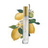 Vertu The Sanctuary Perfume Ava Didongviet E11008503f194aa389d9751b3b8b5483